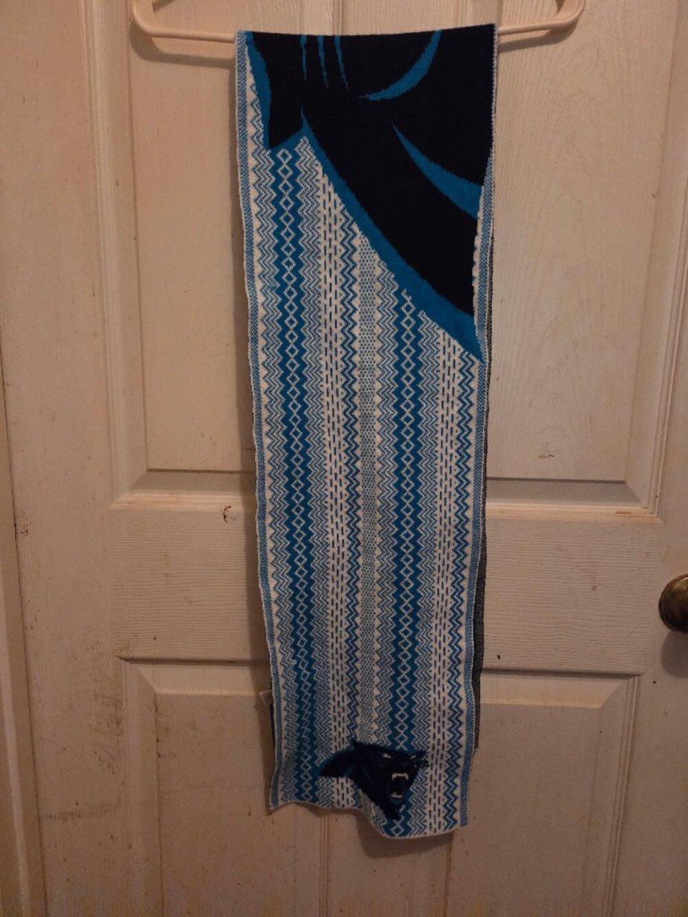 Forever  collectibles Panthers scarf